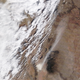 Image for article titled Earth’s fiercest dust storms, as seen from space